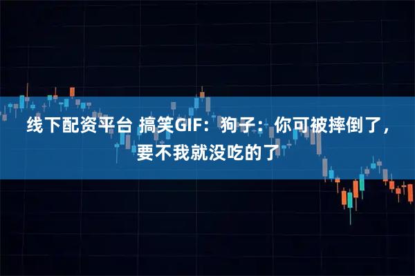 线下配资平台 搞笑GIF：狗子：你可被摔倒了，要不我就没吃的了