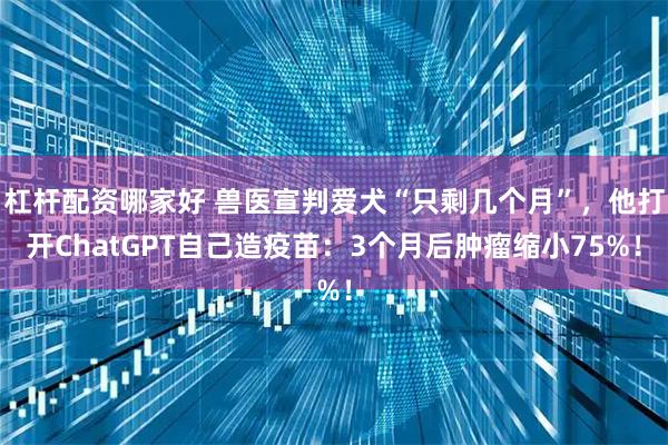 杠杆配资哪家好 兽医宣判爱犬“只剩几个月”，他打开ChatGPT自己造疫苗：3个月后肿瘤缩小75%！